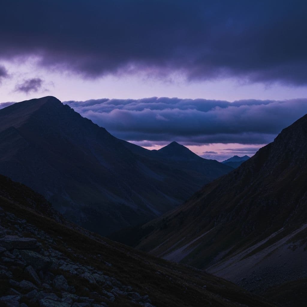 Software Development